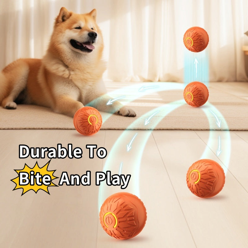Interactive Rechargeable Motion Ball for Dogs