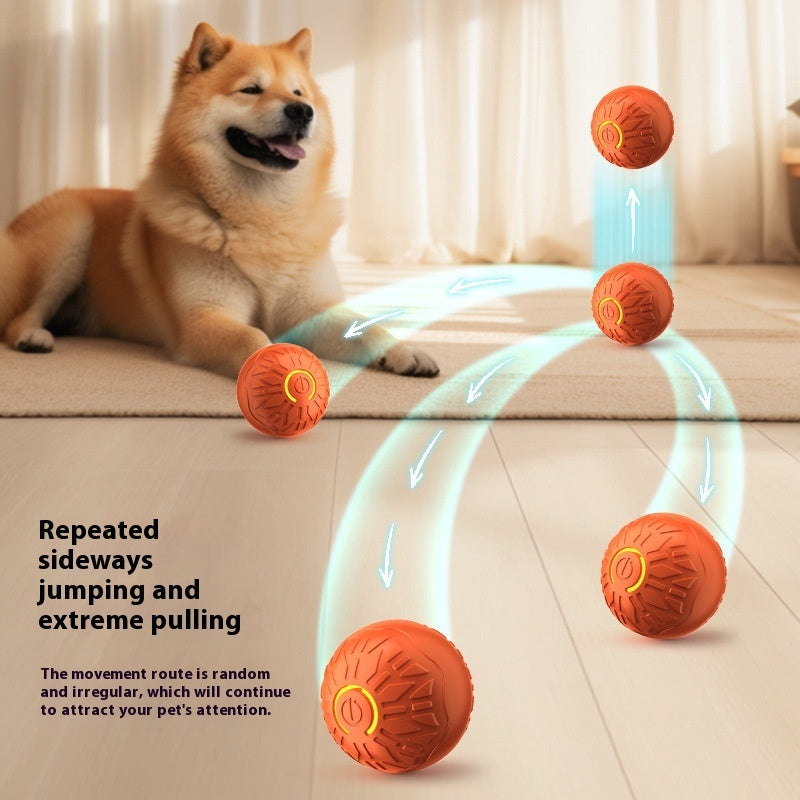 Interactive Rechargeable Motion Ball for Dogs