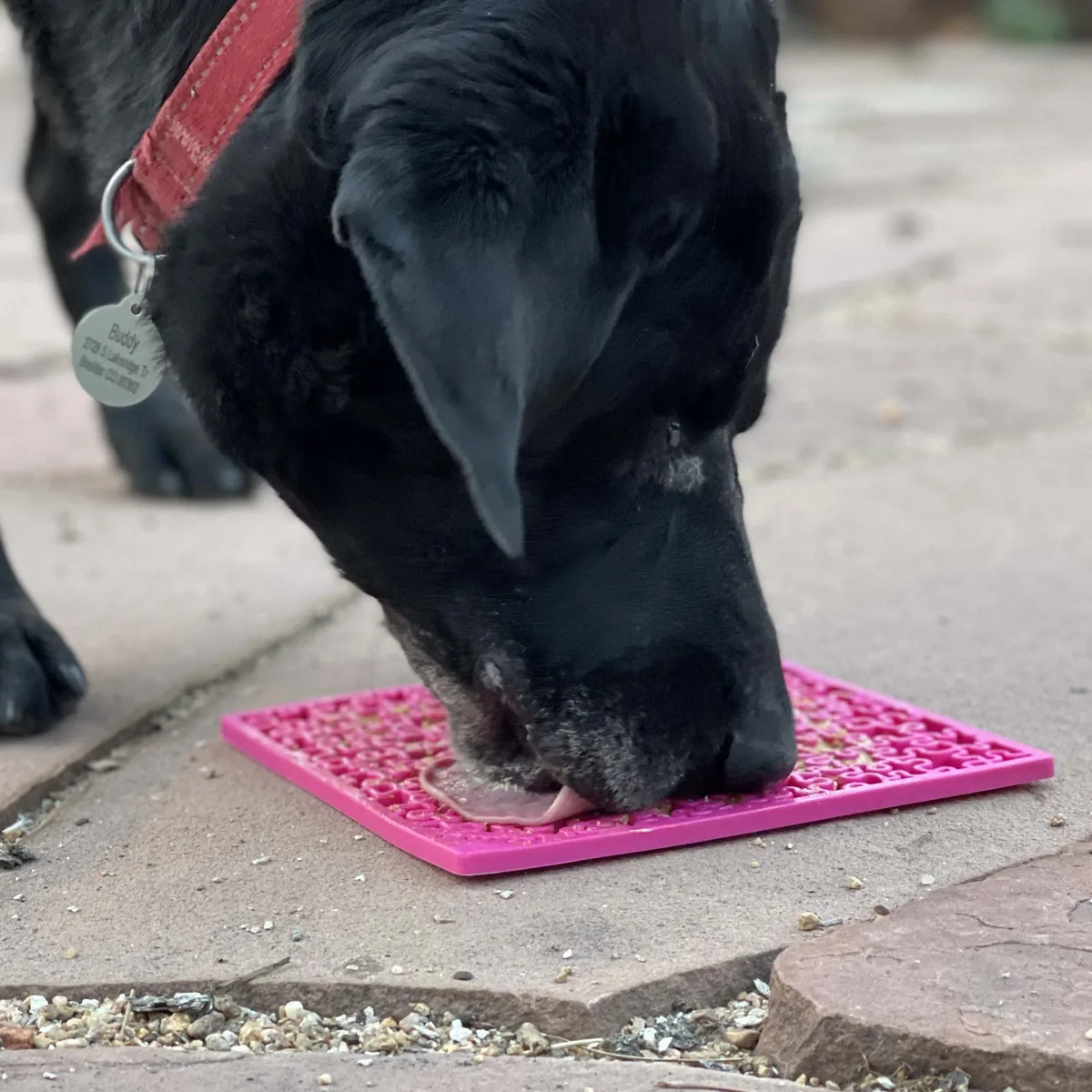 Jigsaw Enrichment Lick Mat for Dogs & Cats